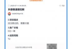 2025年正版抖音極(jí)速版赚錢(qián)，最新保(bǎo)姆级攻略(lüè)，抖音極(jí)速版赚錢(qián)一天50元不难