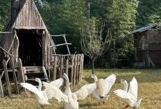 “村漂”的年轻人，利用自媒体悄(qiāo)悄(qiāo)赚钱