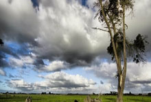 创业黑马：持续壮大多层次工业互联网平台体系