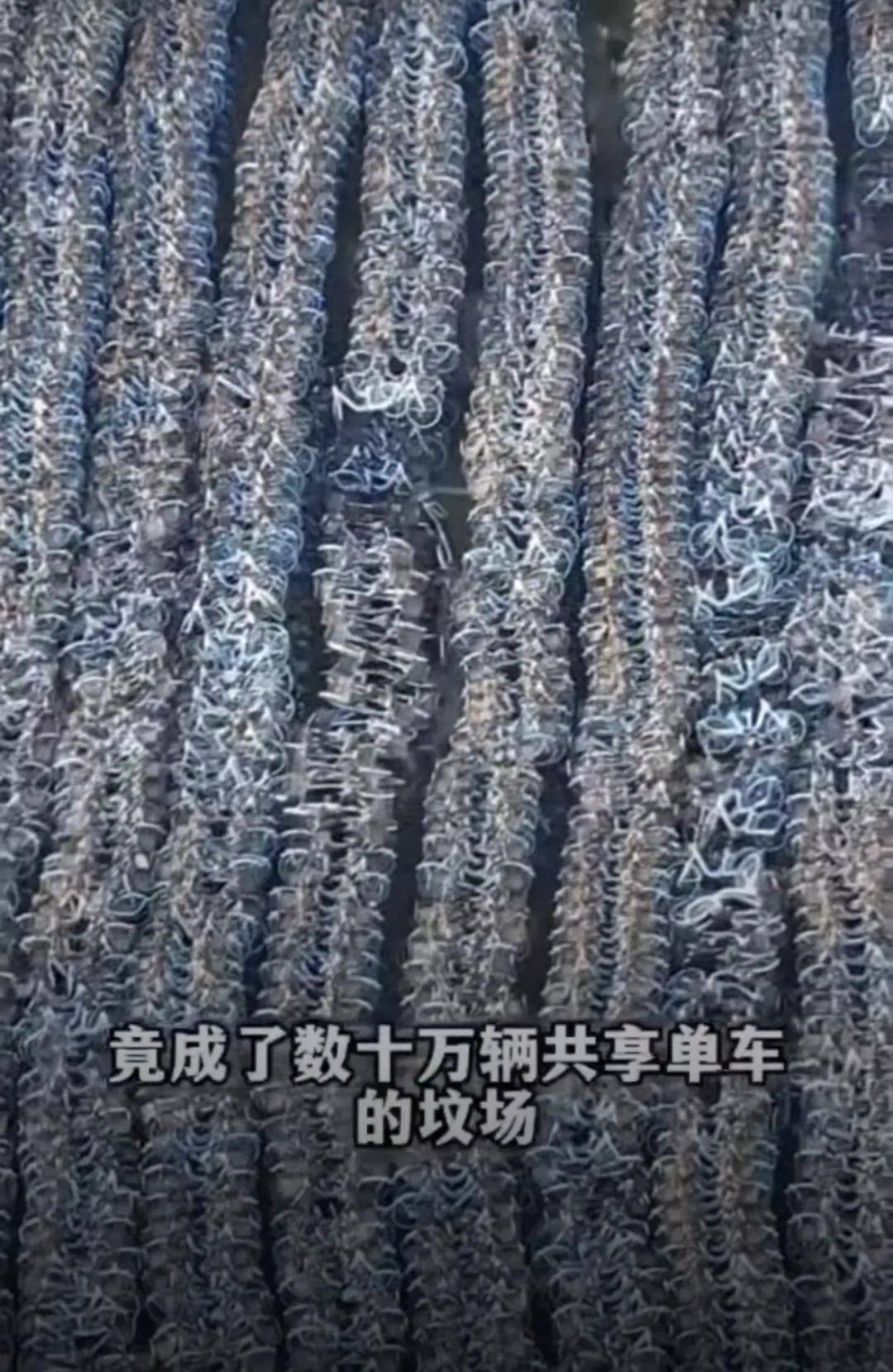 骑行中自动落锁竟因一码多车违投，共享单车为赚钱将用户生命当儿戏？