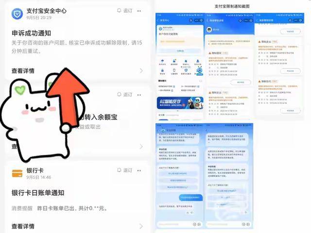 为抽(chōu)红包反(fǎn)被冻结49万 支(zhī)付宝余额宝存入容易提(tí)现难