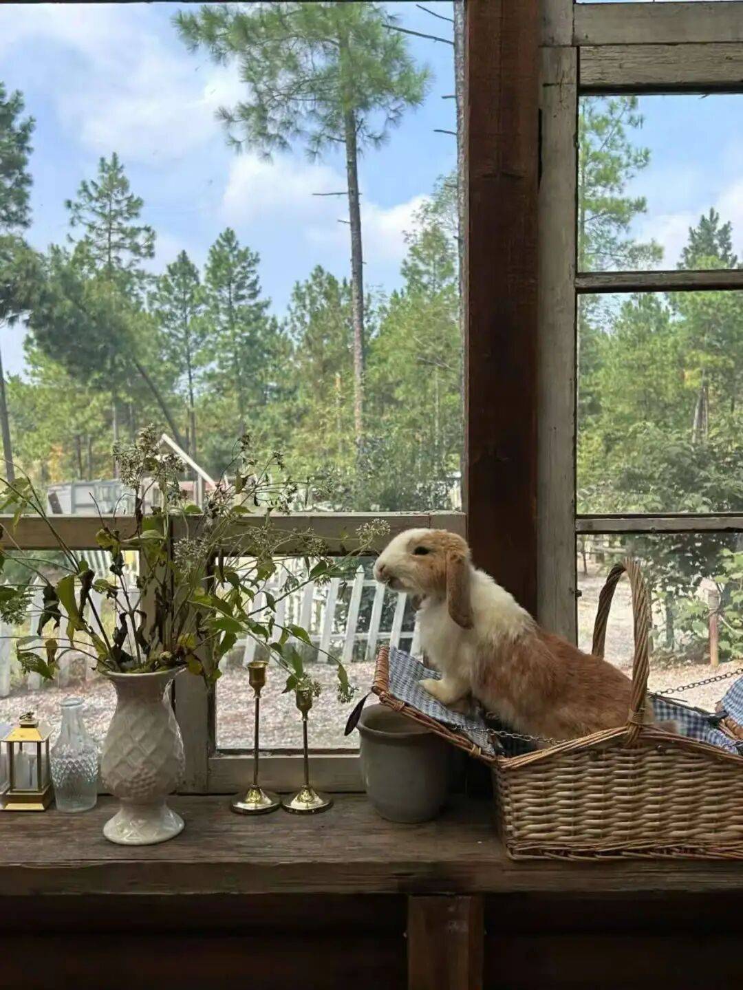 “村漂”的年轻人，利用自媒体悄(qiāo)悄(qiāo)赚钱